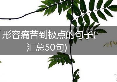 形容痛苦到极点的句子(汇总50句)