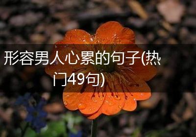 形容男人心累的句子(热门49句)