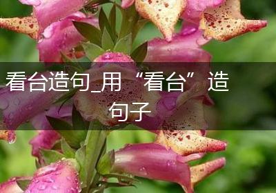 看台造句_用“看台”造句子