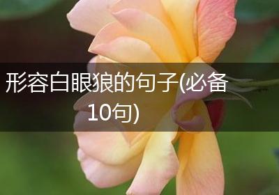 形容白眼狼的句子(必备10句)