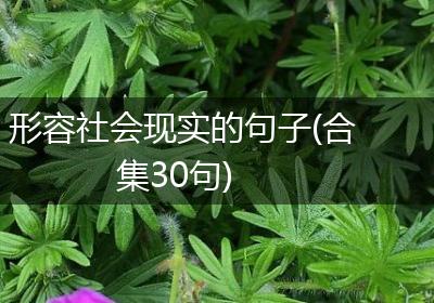 形容社会现实的句子(合集30句)