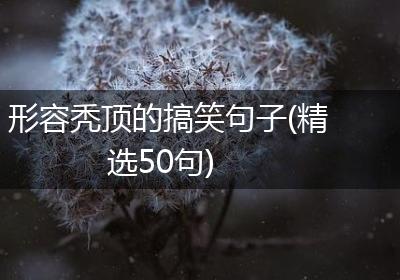 形容秃顶的搞笑句子(精选50句)