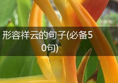 形容祥云的句子(必备50句)