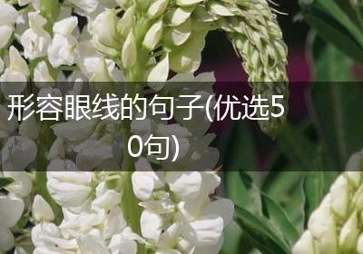 形容眼线的句子(优选50句)