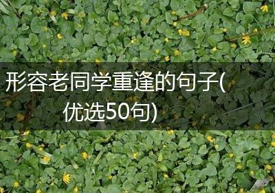 形容老同学重逢的句子(优选50句)