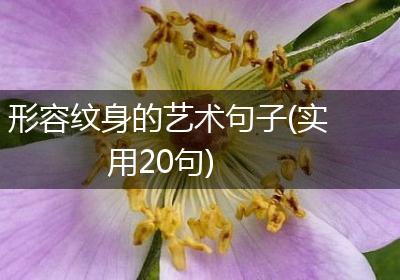 形容纹身的艺术句子(实用20句)