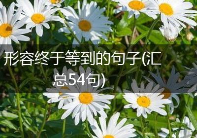形容终于等到的句子(汇总54句)