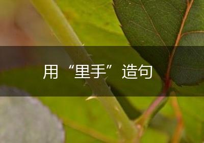 用“里手”造句