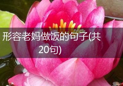 形容老妈做饭的句子(共20句)