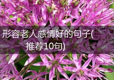 形容老人感情好的句子(推荐10句)