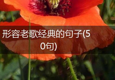 形容老歌经典的句子(50句)