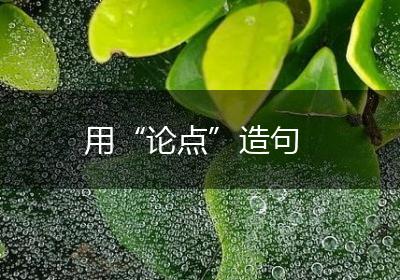 用“论点”造句