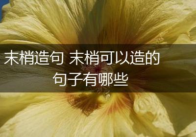 末梢造句 末梢可以造的句子有哪些