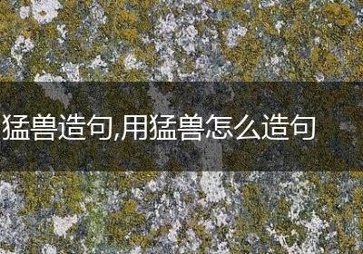 猛兽造句,用猛兽怎么造句