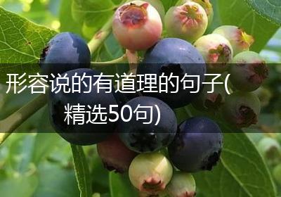 形容说的有道理的句子(精选50句)