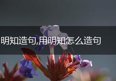 明知造句,用明知怎么造句