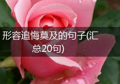 形容追悔莫及的句子(汇总20句)