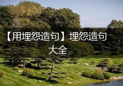 【用埋怨造句】埋怨造句大全