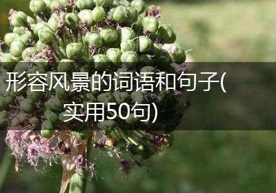 形容风景的词语和句子(实用50句)