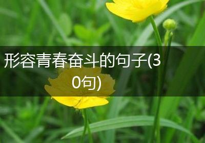 形容青春奋斗的句子(30句)