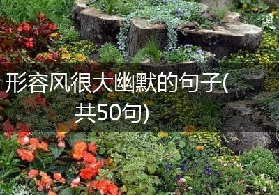 形容风很大幽默的句子(共50句)