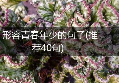 形容青春年少的句子(推荐40句)