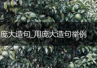 庞大造句_用庞大造句举例