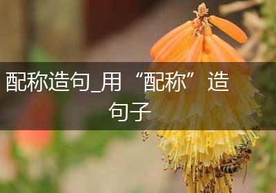 配称造句_用“配称”造句子