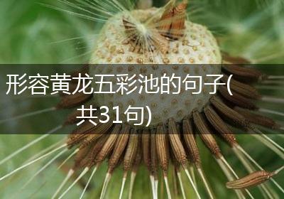 形容黄龙五彩池的句子(共31句)