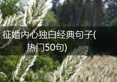 征婚内心独白经典句子(热门50句)
