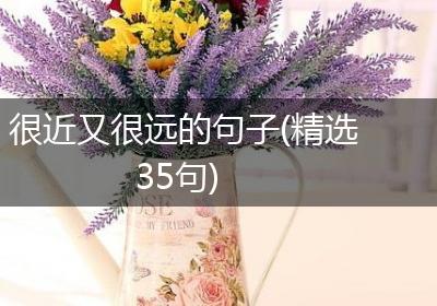 很近又很远的句子(精选35句)