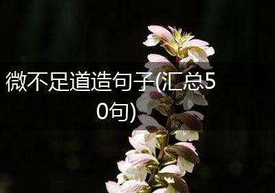 微不足道造句子(汇总50句)