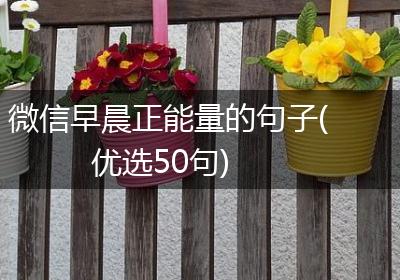 微信早晨正能量的句子(优选50句)