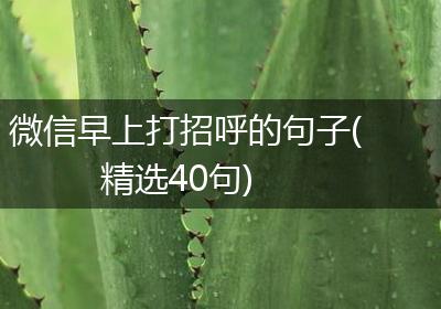 微信早上打招呼的句子(精选40句)