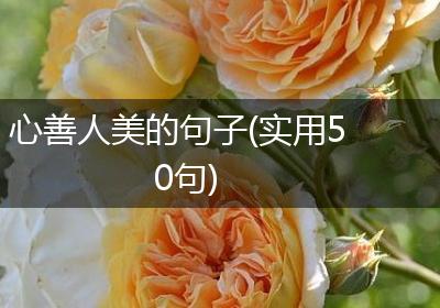 心善人美的句子(实用50句)