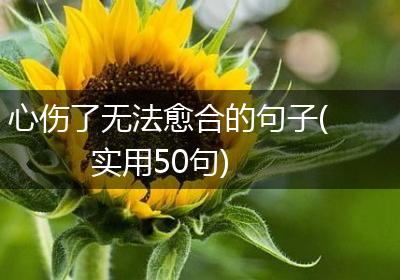 心伤了无法愈合的句子(实用50句)