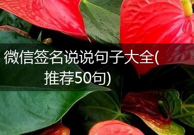 微信签名说说句子大全(推荐50句)