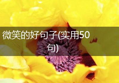 微笑的好句子(实用50句)