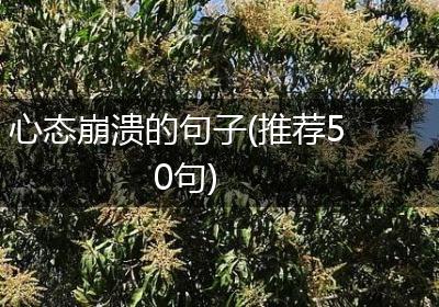 心态崩溃的句子(推荐50句)