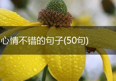 心情不错的句子(50句)