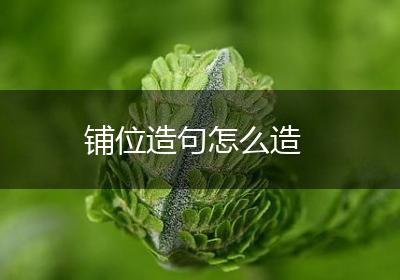 铺位造句怎么造