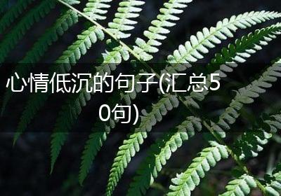 心情低沉的句子(汇总50句)