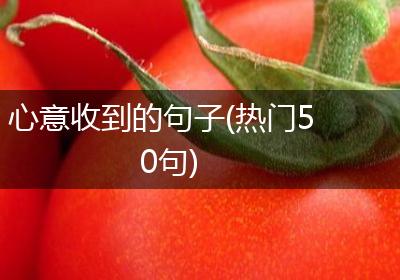 心意收到的句子(热门50句)