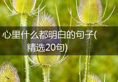 心里什么都明白的句子(精选20句)