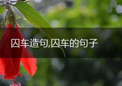 囚车造句,囚车的句子