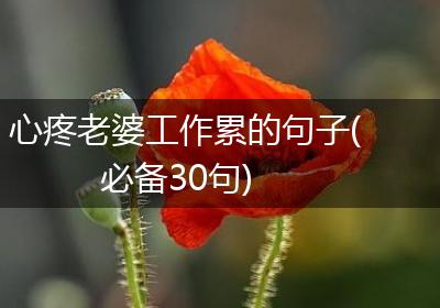 心疼老婆工作累的句子(必备30句)