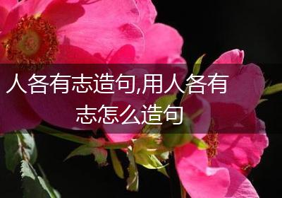 人各有志造句,用人各有志怎么造句