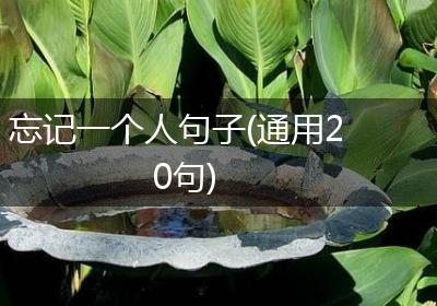 忘记一个人句子(通用20句)