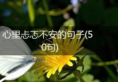 心里忐忑不安的句子(50句)