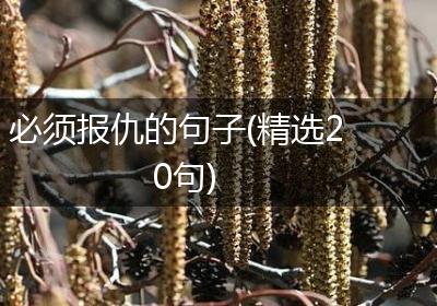 必须报仇的句子(精选20句)